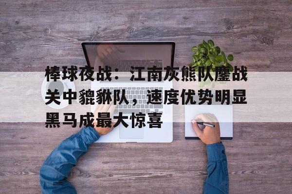 包含棒球夜战：江南灰熊队鏖战关中貔貅队，速度优势明显黑马成最大惊喜的词条