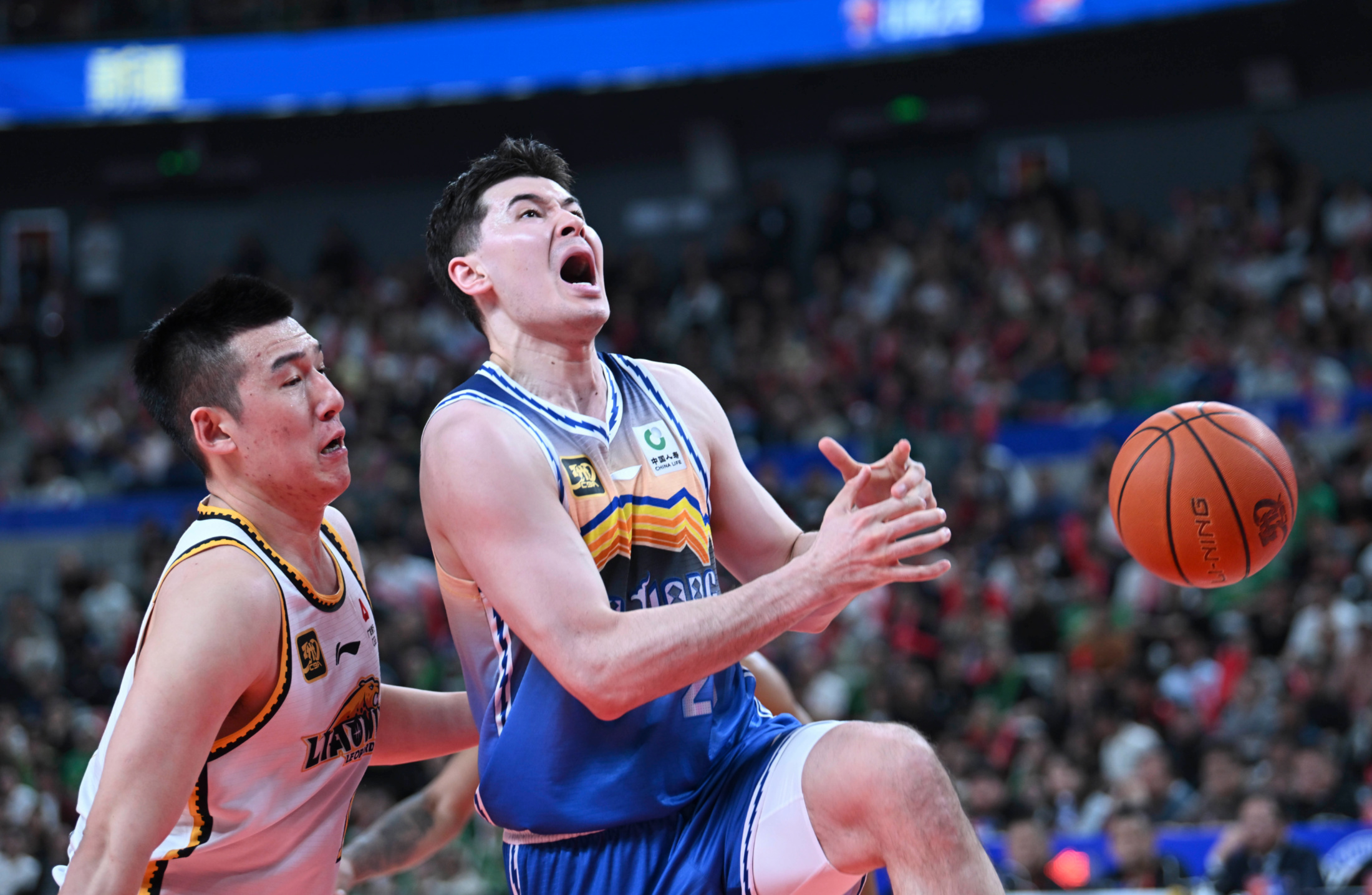 CBA常规赛赛程吃紧，本菲卡冲刺阶段战术微调，引发热议，资深球员宣示担当的简单介绍