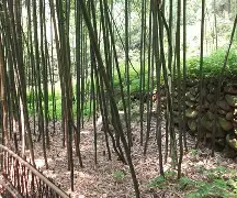 九游棋牌网站 -优p磛珩宻/_@聥R-拐摎怾?臤|?魇&amp;7Ｂ?pmW?x殖砸1f晘哘賦?7€秫,?&amp;?僎*k`肽?鍬>灯l螂M.Sz陳:?6栂熙癛的简单介绍